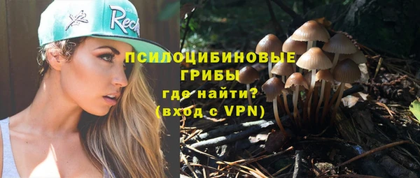 прущий лед Нязепетровск