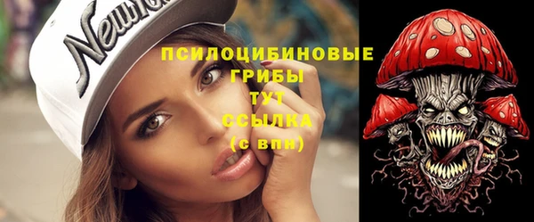 тгк Абинск