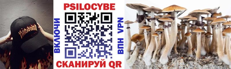 Псилоцибиновые грибы Magic Shrooms  Черногорск 